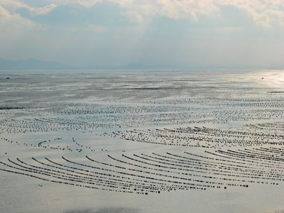 Cultivation in China
